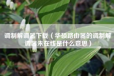 调制解调器下载（华硕路由器的调制解调器未在线是什么意思）