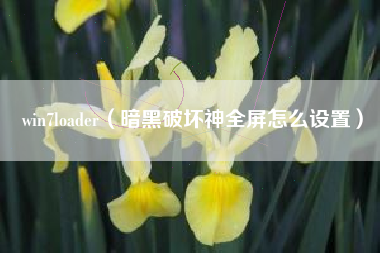 win7loader（暗黑破坏神全屏怎么设置）