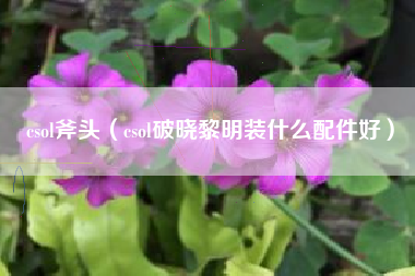 csol斧头（csol破晓黎明装什么配件好）