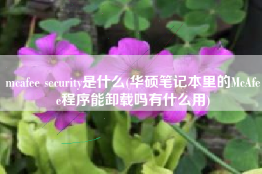 mcafee security是什么(华硕笔记本里的McAfee程序能卸载吗有什么用)