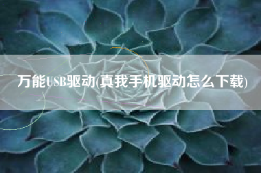 万能USB驱动(真我手机驱动怎么下载)