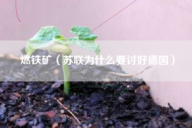 燃铁矿（苏联为什么要讨好德国）