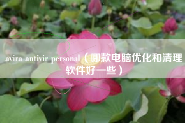 avira antivir personal（哪款电脑优化和清理软件好一些）