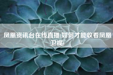 凤凰资讯台在线直播(如何才能收看凤凰卫视)