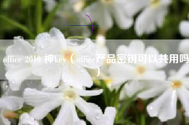 office 2010 神key（office产品密钥可以共用吗）