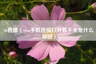 s6直播（vivo手机连接打开看不全是什么原因）