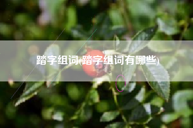 踏字组词(踏字组词有哪些)