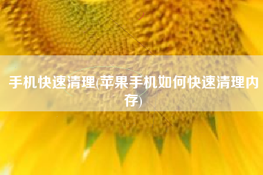 手机快速清理(苹果手机如何快速清理内存)