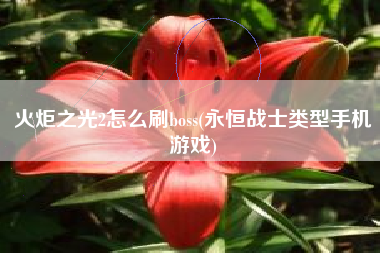 火炬之光2怎么刷boss(永恒战士类型手机游戏)