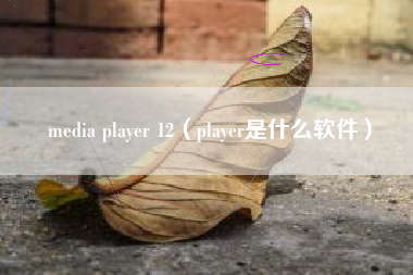 media player 12（player是什么软件）