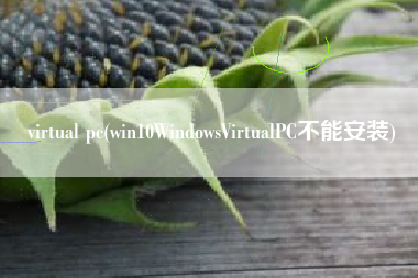 virtual pc(win10WindowsVirtualPC不能安装)