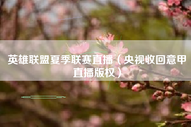 英雄联盟夏季联赛直播（央视收回意甲直播版权）