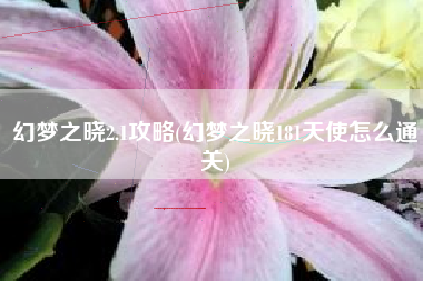 幻梦之晓2.1攻略(幻梦之晓181天使怎么通关)