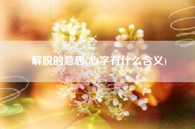 解脱的意思(心字有什么含义)