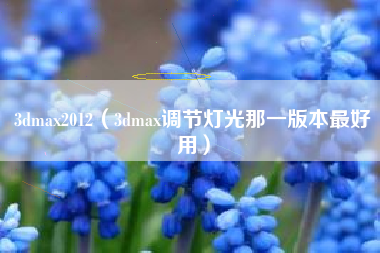 3dmax2012（3dmax调节灯光那一版本最好用）