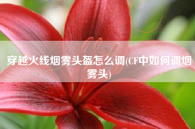 穿越火线烟雾头盔怎么调(CF中如何调烟雾头)