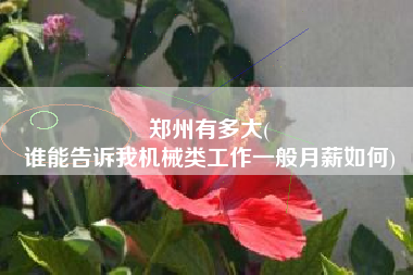 郑州有多大(
谁能告诉我机械类工作一般月薪如何)