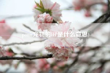 poni(宠物的HP是什么意思)