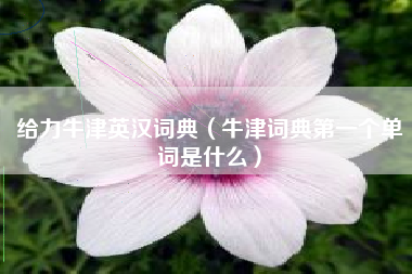 给力牛津英汉词典（牛津词典第一个单词是什么）