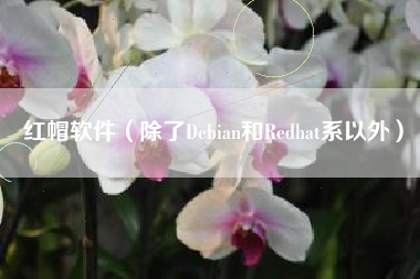 红帽软件（除了Debian和Redhat系以外）