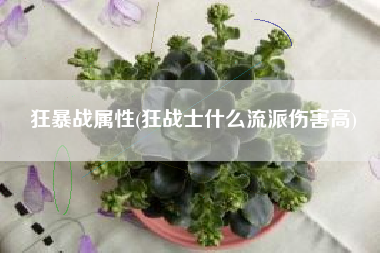 狂暴战属性(狂战士什么流派伤害高)