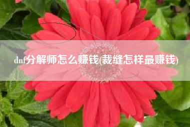 dnf分解师怎么赚钱(裁缝怎样最赚钱)