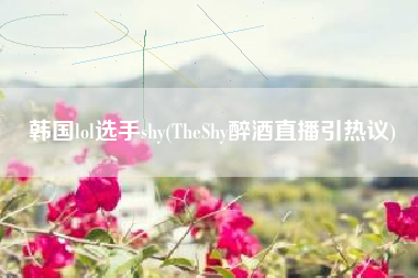 韩国lol选手shy(TheShy醉酒直播引热议)