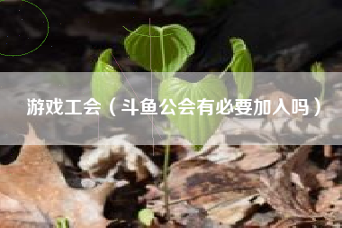 游戏工会（斗鱼公会有必要加入吗）