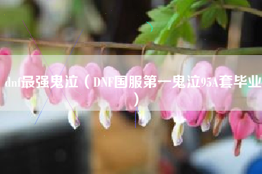 dnf最强鬼泣（DNF国服第一鬼泣95A套毕业）