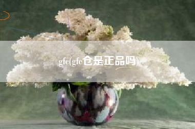 gfc(gfc仓是正品吗)