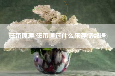 磁带原理(磁带通过什么来存储数据)