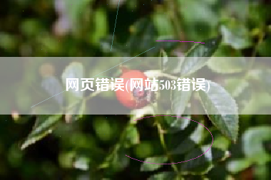 网页错误(网站503错误)