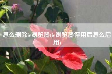 怎么删除ie浏览器(ie浏览器停用后怎么启用)