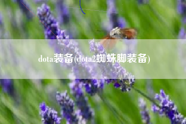 dota装备(dota2蜘蛛脚装备)