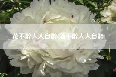 花不醉人人自醉(酒不醉人人自醉)