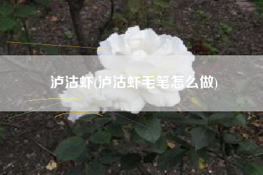 泸沽虾(泸沽虾毛笔怎么做)