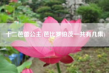 十二芭蕾公主(芭比罗伯茨一共有几集)