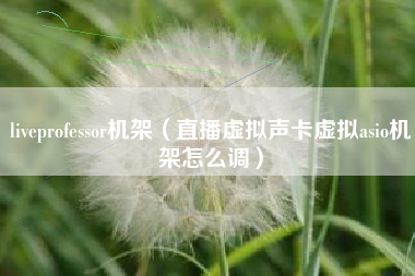 liveprofessor机架（直播虚拟声卡虚拟asio机架怎么调）