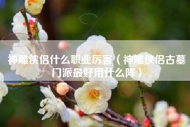 神雕侠侣什么职业厉害（神雕侠侣古墓门派最好用什么阵）