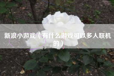 新浪小游戏（有什么游戏可以多人联机的）