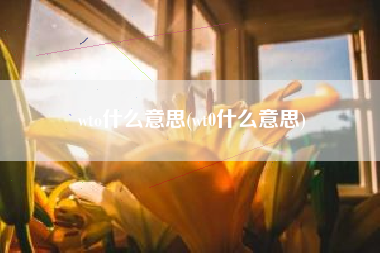 wto什么意思(wt0什么意思)