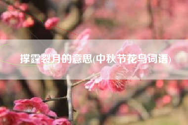 撑霆裂月的意思(中秋节花鸟词语)