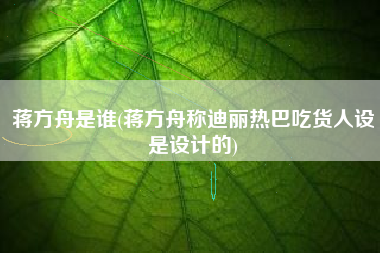 蒋方舟是谁(蒋方舟称迪丽热巴吃货人设是设计的)