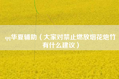 qq华夏辅助（大家对禁止燃放烟花炮竹有什么建议）