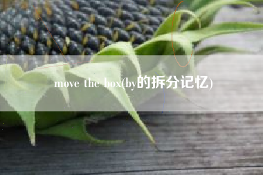 move the box(by的拆分记忆)