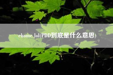 ehome lol(PDD到底是什么意思)