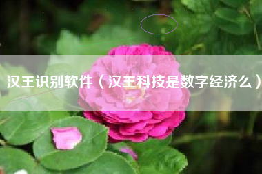 汉王识别软件（汉王科技是数字经济么）