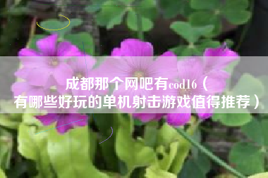 成都那个网吧有cod16（
有哪些好玩的单机射击游戏值得推荐）