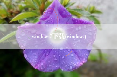 window 7下载(windows)