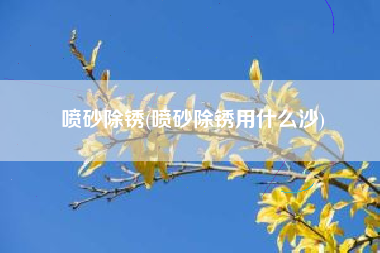 喷砂除锈(喷砂除锈用什么沙)